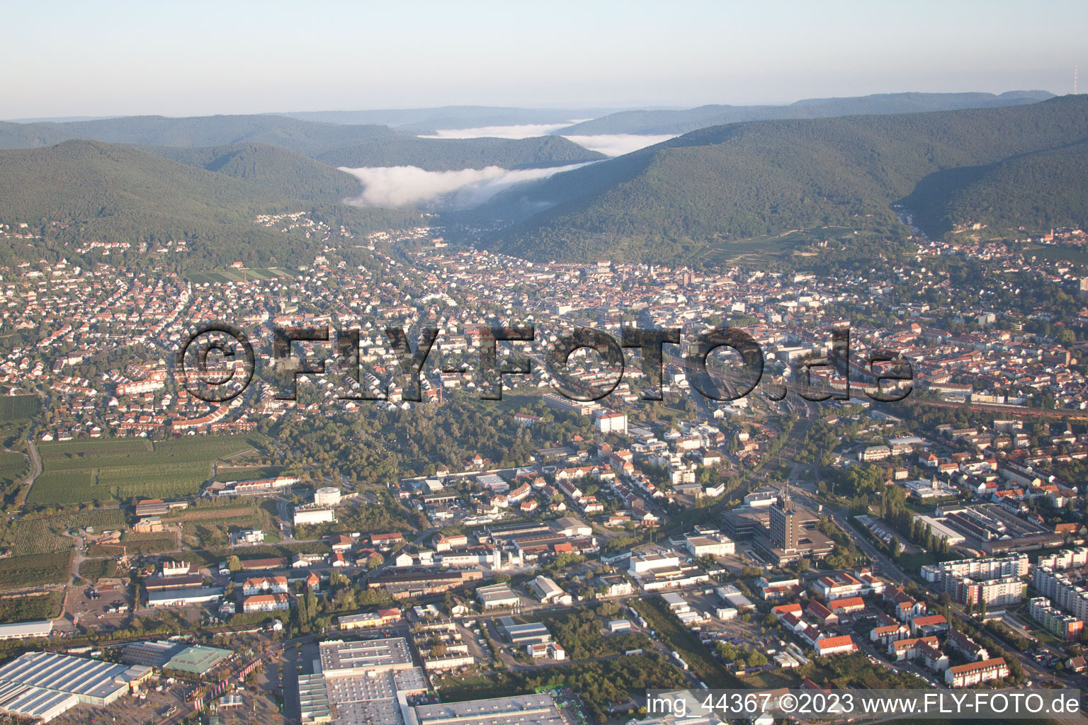 Neustadt an der Weinstraße dans le département Rhénanie-Palatinat, Allemagne vue d'en haut