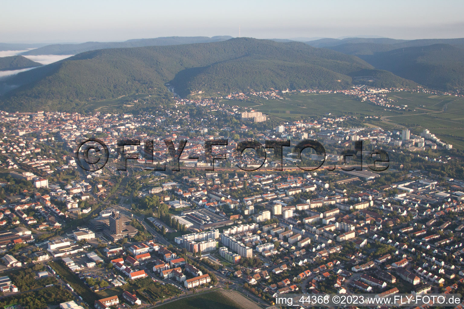 Vue aérienne de Branchweiler à Neustadt an der Weinstraße dans le département Rhénanie-Palatinat, Allemagne
