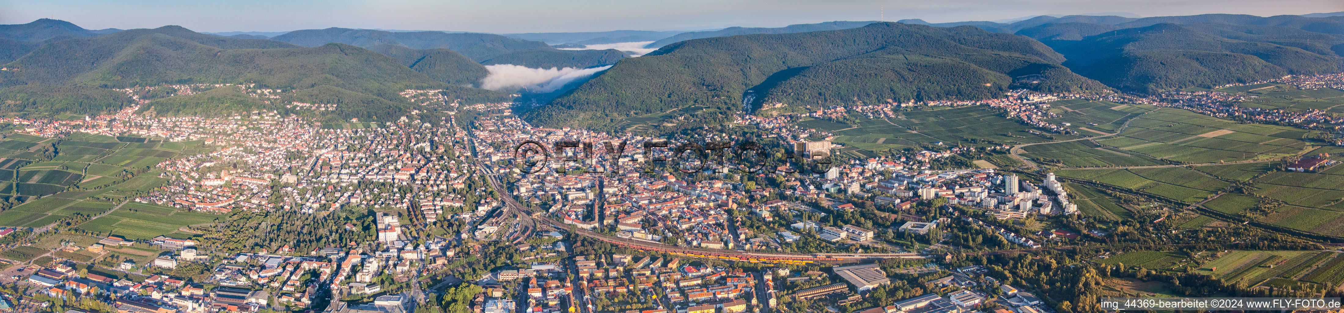 Photographie aérienne de Panorama à Neustadt an der Weinstraße dans le département Rhénanie-Palatinat, Allemagne