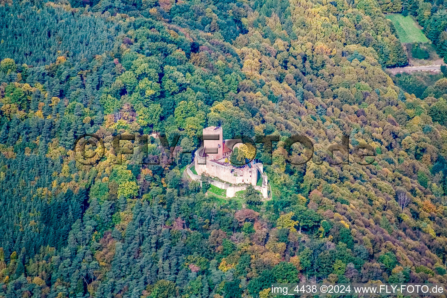 Ruines de Landeck à Klingenmünster dans le département Rhénanie-Palatinat, Allemagne d'en haut