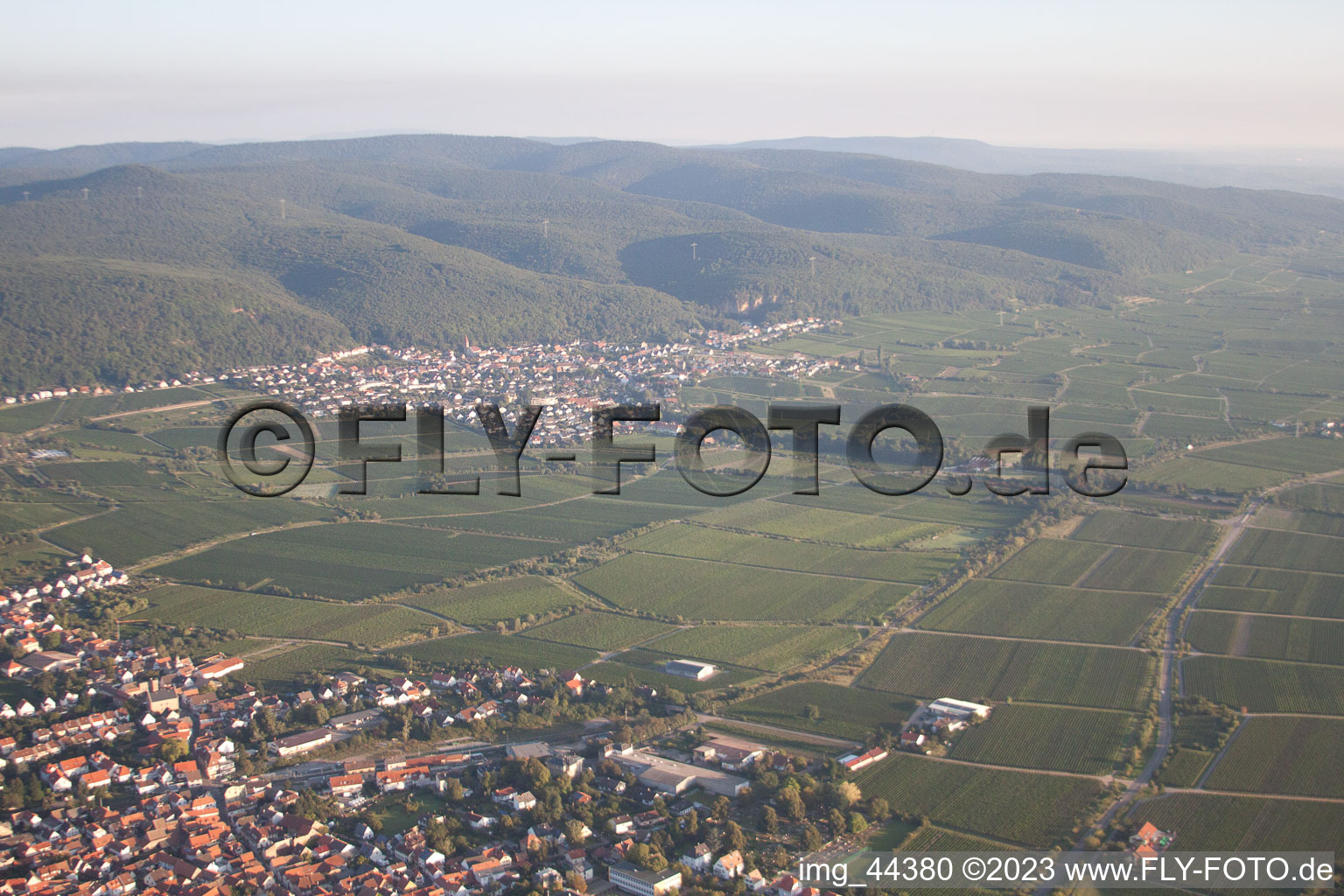 Vue oblique de Quartier Königsbach in Neustadt an der Weinstraße dans le département Rhénanie-Palatinat, Allemagne