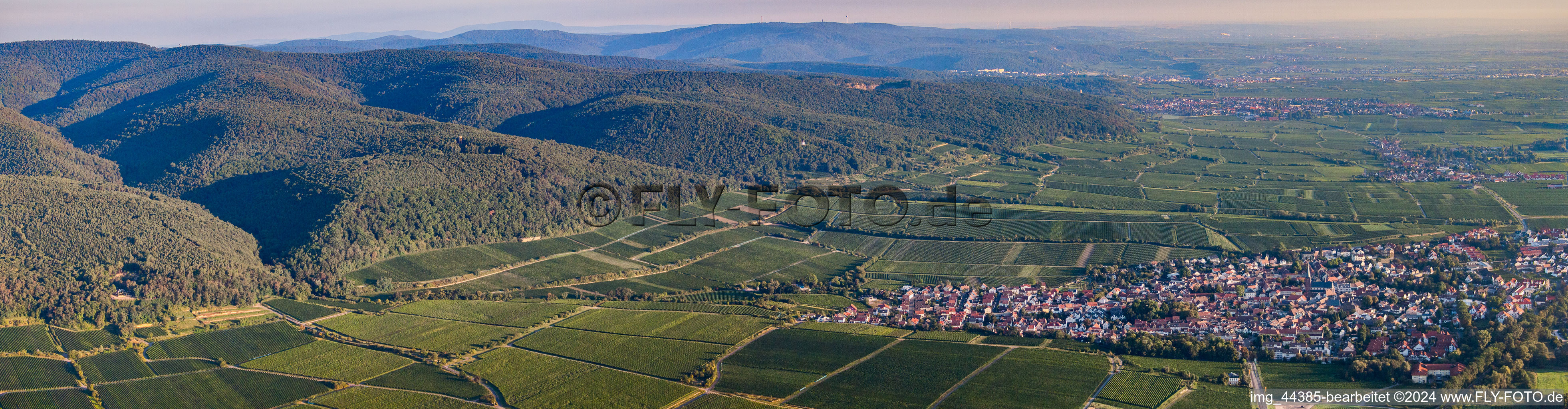 Vue aérienne de Panorama de la région et des environs à Deidesheim dans le département Rhénanie-Palatinat, Allemagne