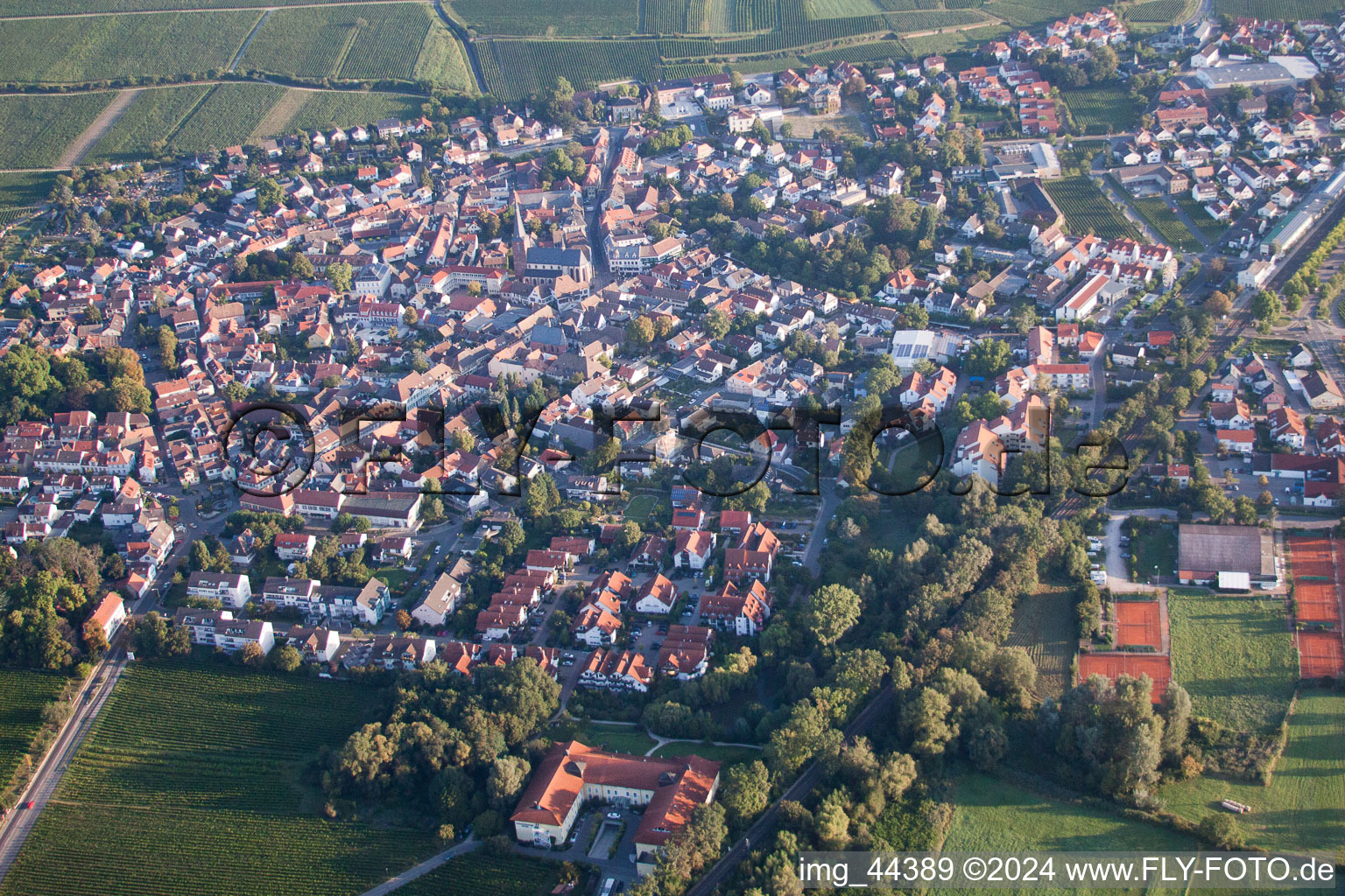 Enregistrement par drone de Deidesheim dans le département Rhénanie-Palatinat, Allemagne