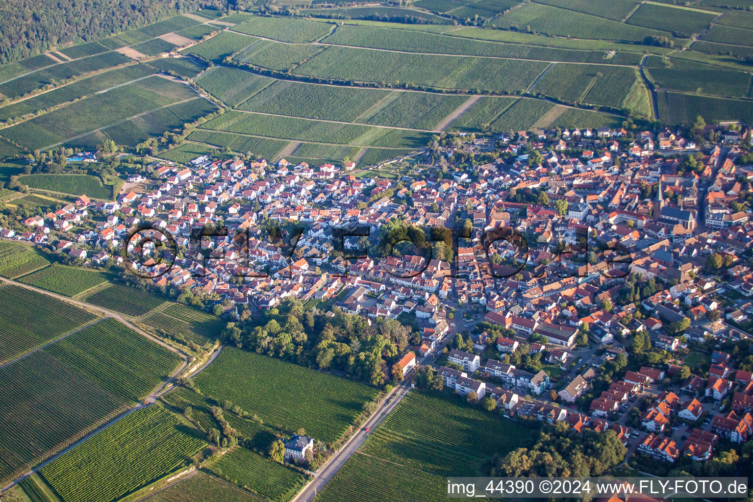 Image drone de Deidesheim dans le département Rhénanie-Palatinat, Allemagne