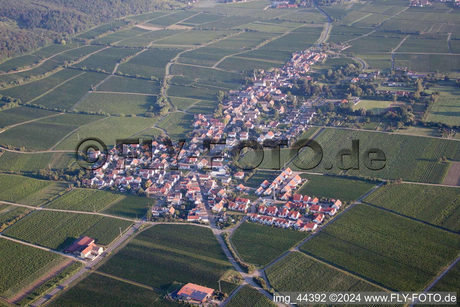 Vue d'oiseau de Forst an der Weinstraße dans le département Rhénanie-Palatinat, Allemagne