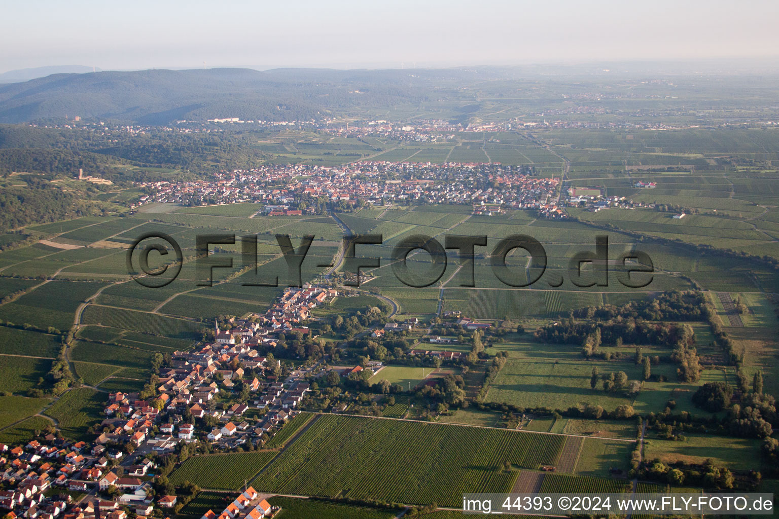 Forst an der Weinstraße dans le département Rhénanie-Palatinat, Allemagne vue du ciel