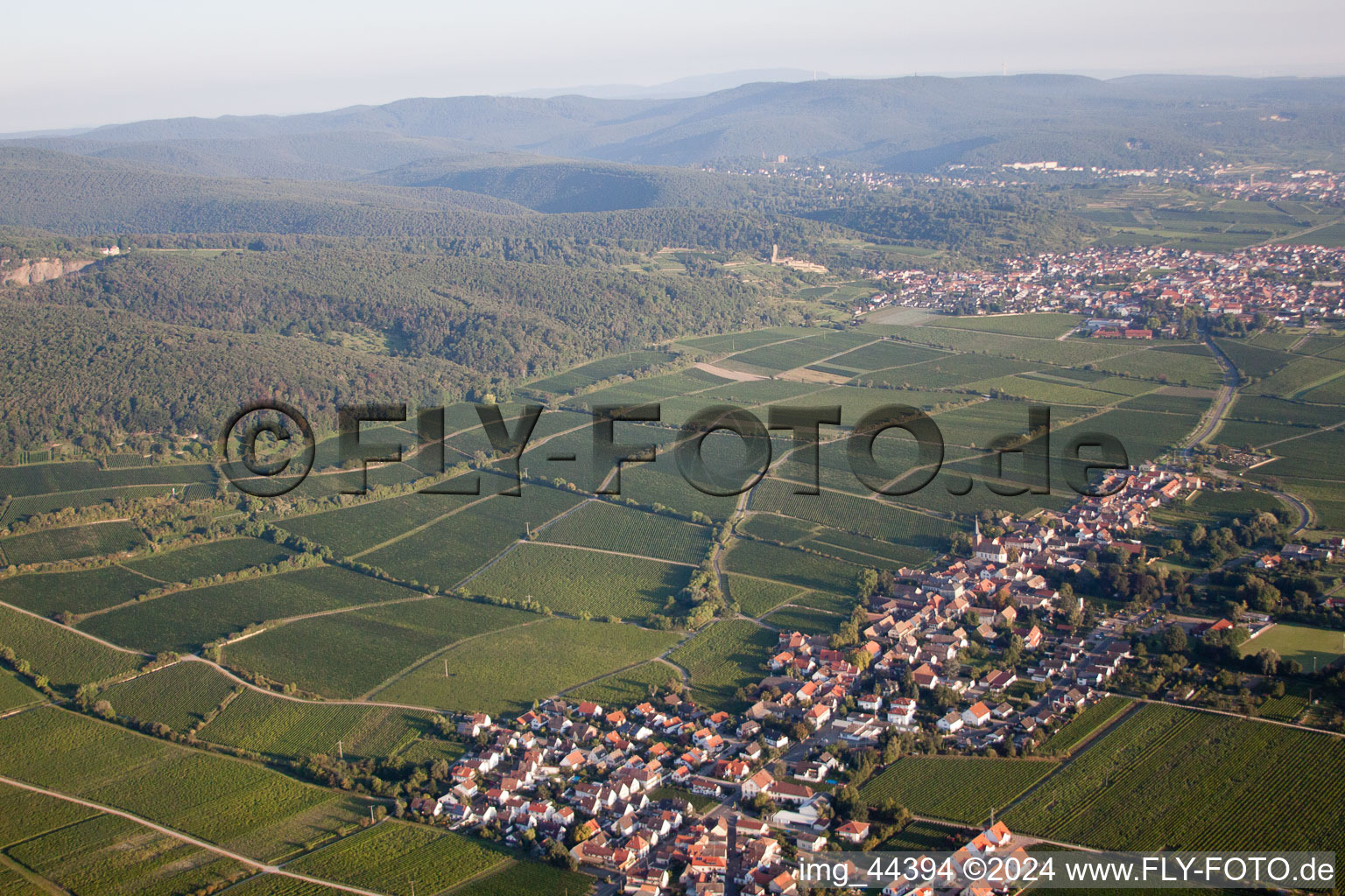 Enregistrement par drone de Forst an der Weinstraße dans le département Rhénanie-Palatinat, Allemagne