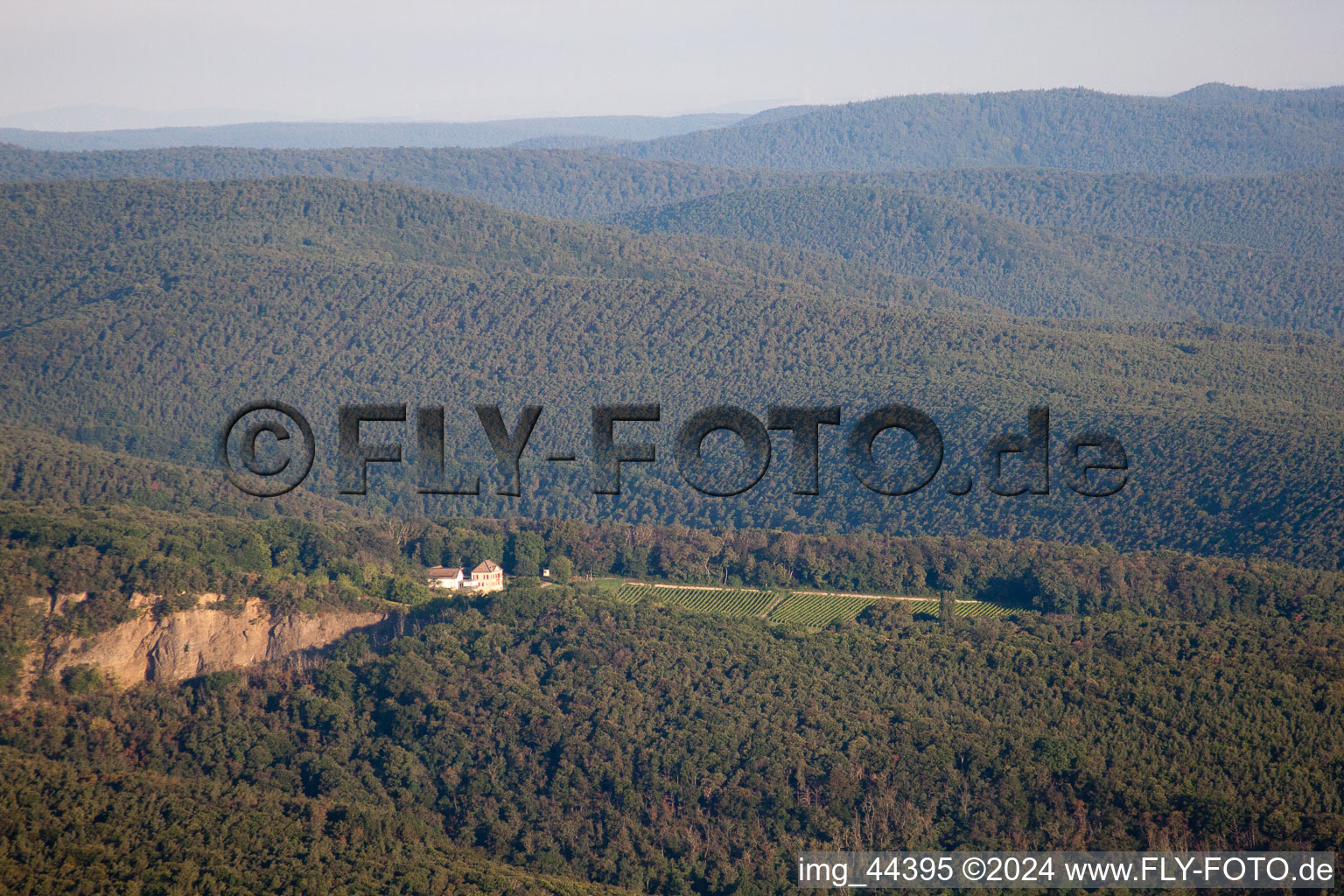 Vue aérienne de Carrières de basalte près de Wachenheim à Wachenheim an der Weinstraße dans le département Rhénanie-Palatinat, Allemagne