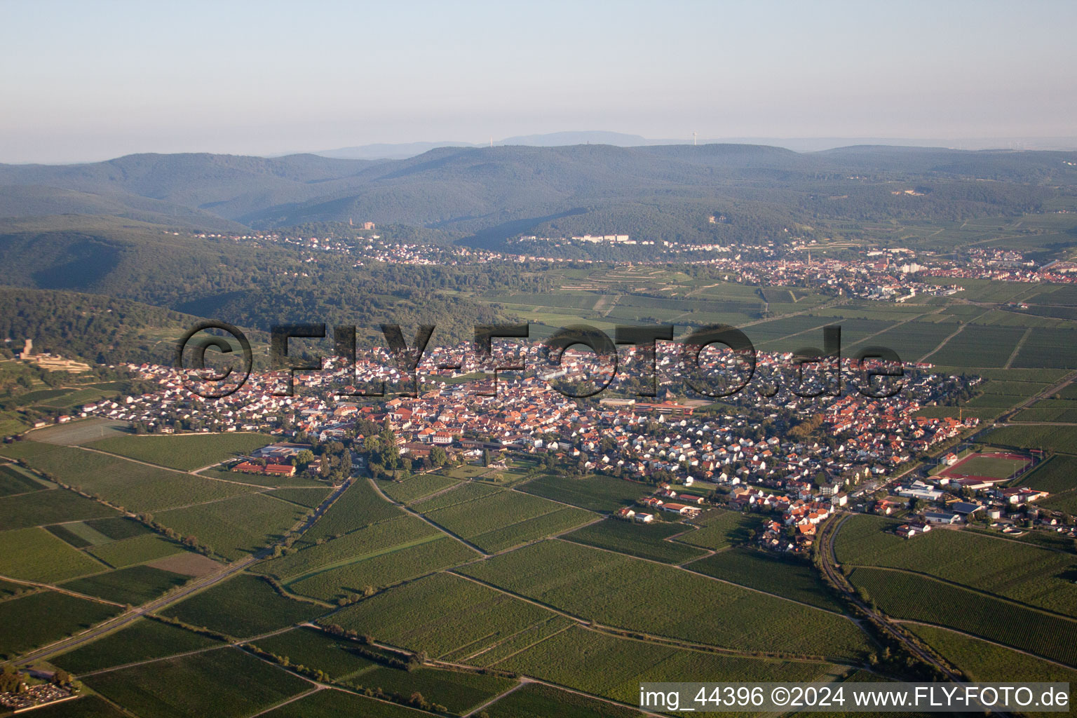 Wachenheim an der Weinstraße dans le département Rhénanie-Palatinat, Allemagne vue d'en haut