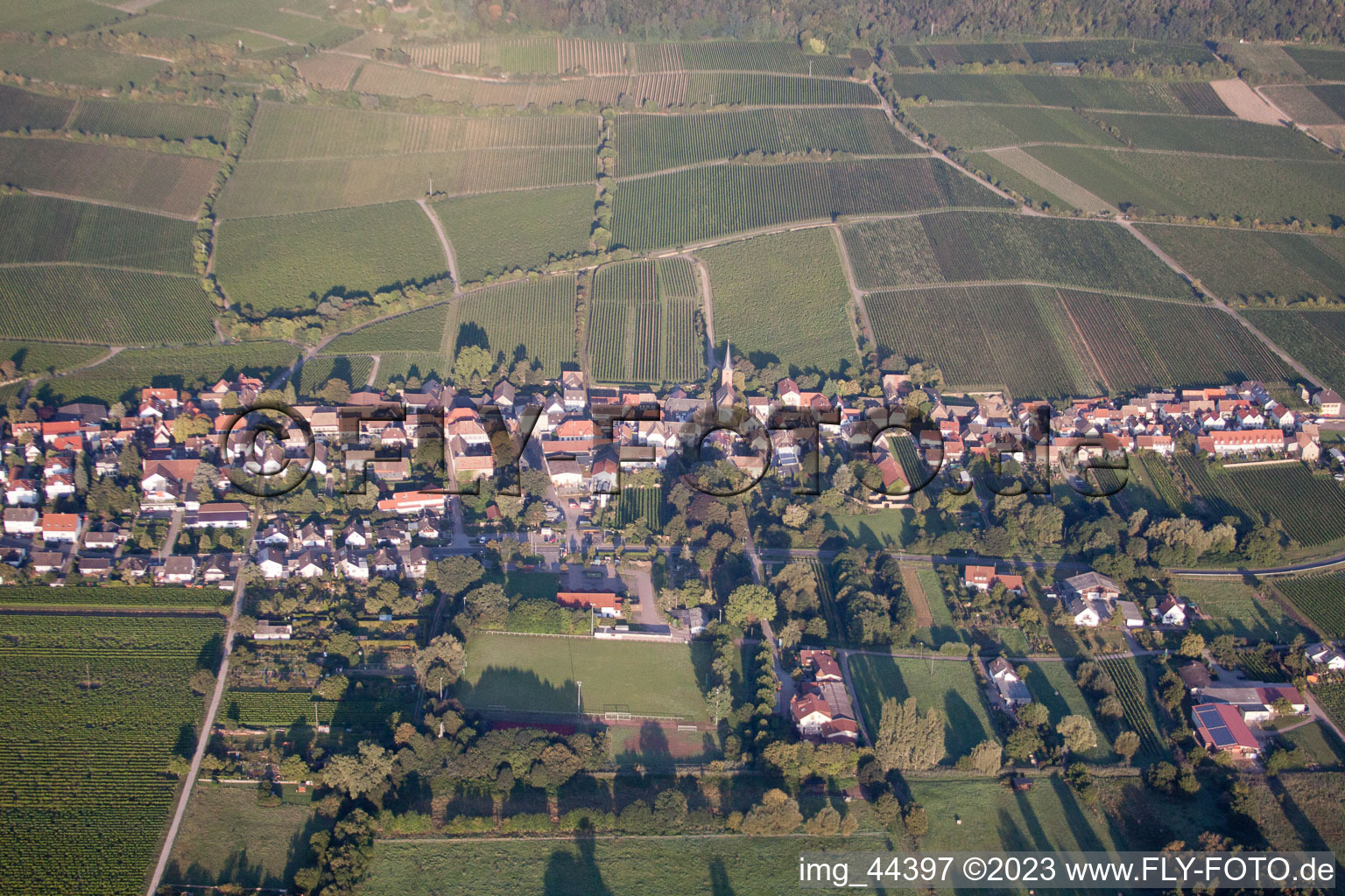 Vue aérienne de Forst an der Weinstraße dans le département Rhénanie-Palatinat, Allemagne