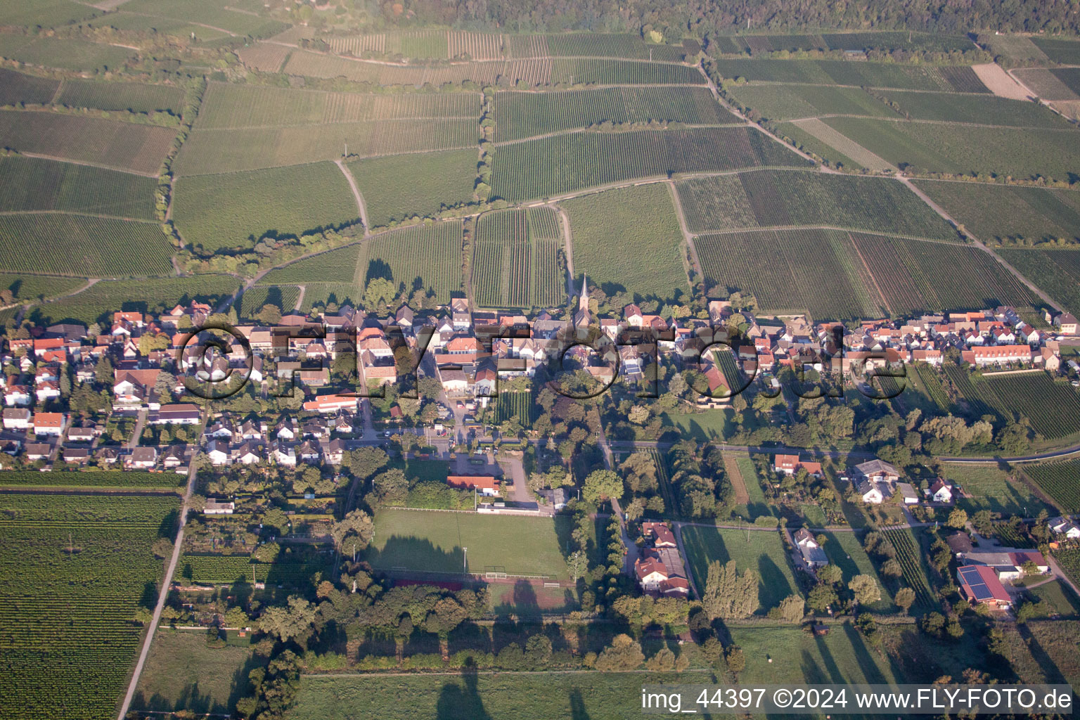 Image drone de Forst an der Weinstraße dans le département Rhénanie-Palatinat, Allemagne