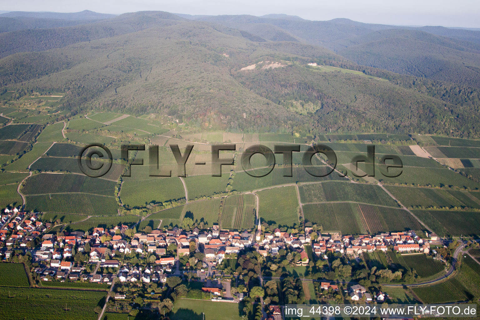 Forst an der Weinstraße dans le département Rhénanie-Palatinat, Allemagne du point de vue du drone