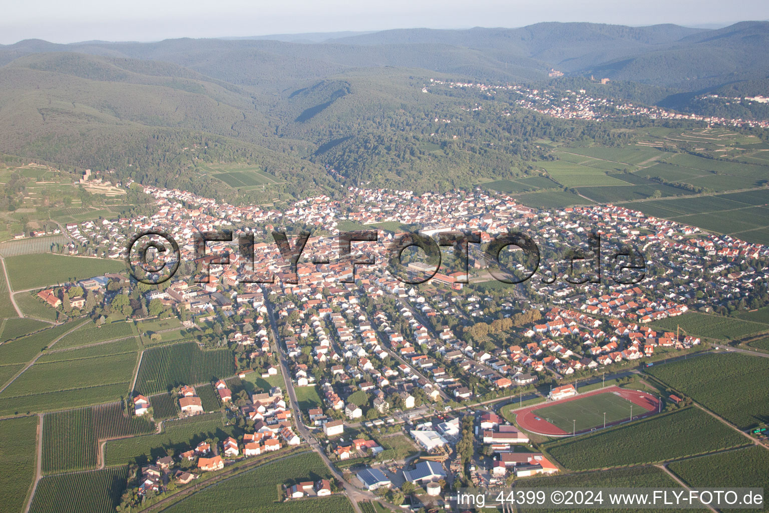 Photographie aérienne de Wachenheim à Wachenheim an der Weinstraße dans le département Rhénanie-Palatinat, Allemagne