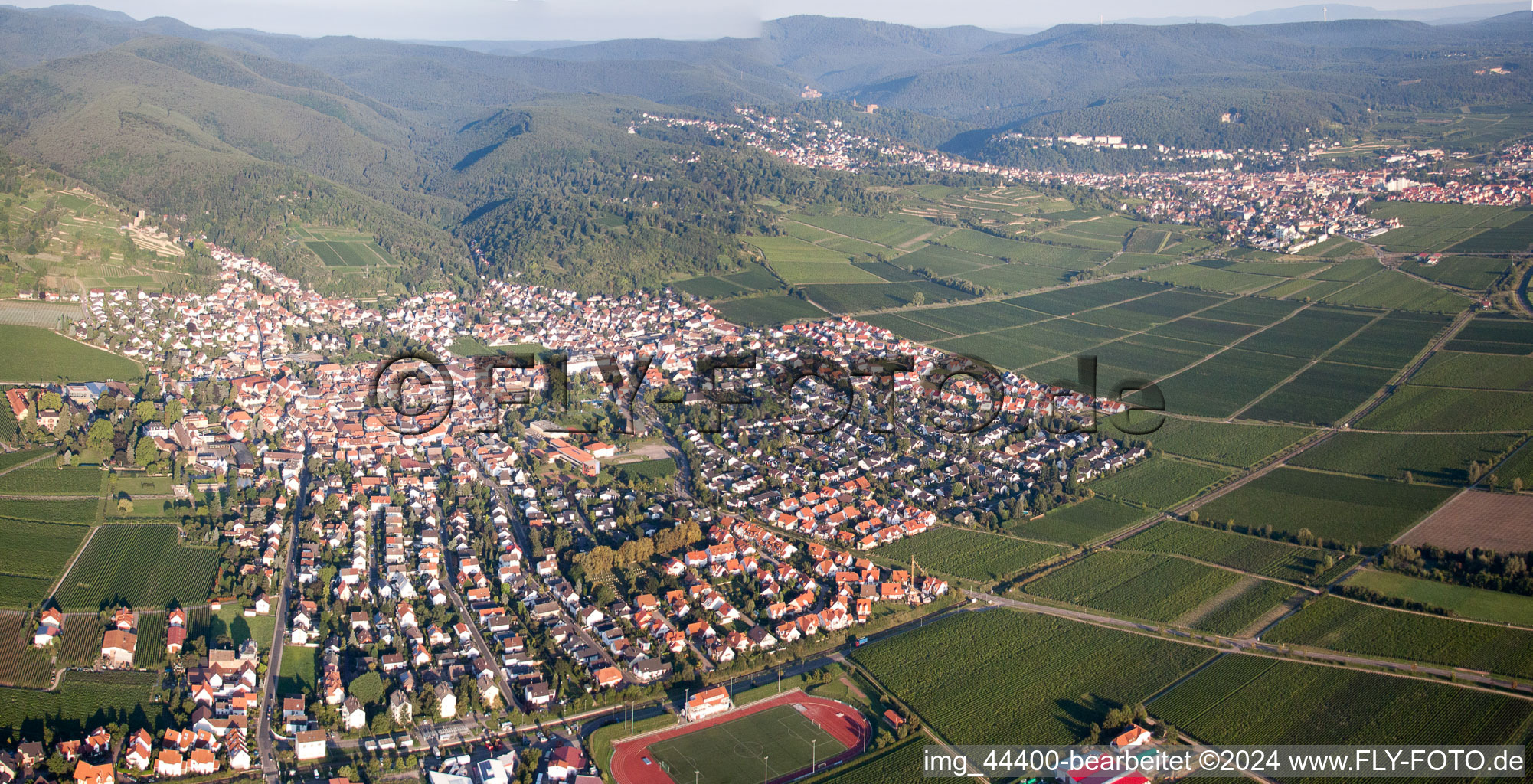 Vue oblique de Wachenheim à Wachenheim an der Weinstraße dans le département Rhénanie-Palatinat, Allemagne