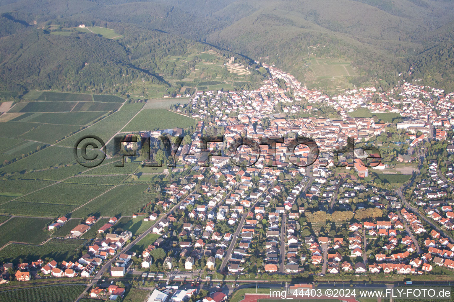 Wachenheim à Wachenheim an der Weinstraße dans le département Rhénanie-Palatinat, Allemagne d'en haut