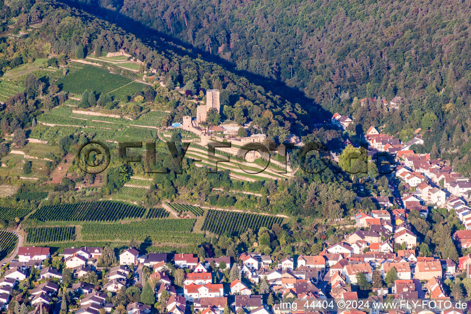 Vue aérienne de Quartier Wachenheim in Wachenheim an der Weinstraße dans le département Rhénanie-Palatinat, Allemagne