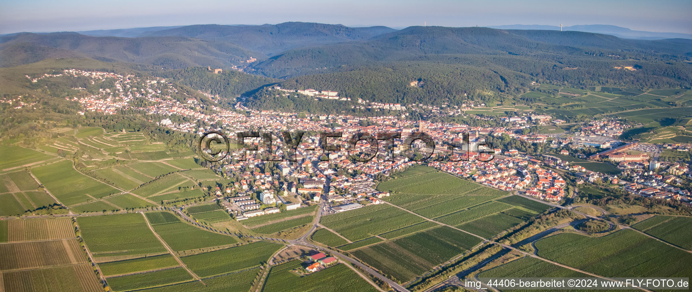 Vue aérienne de De l'ouest à Bad Dürkheim dans le département Rhénanie-Palatinat, Allemagne