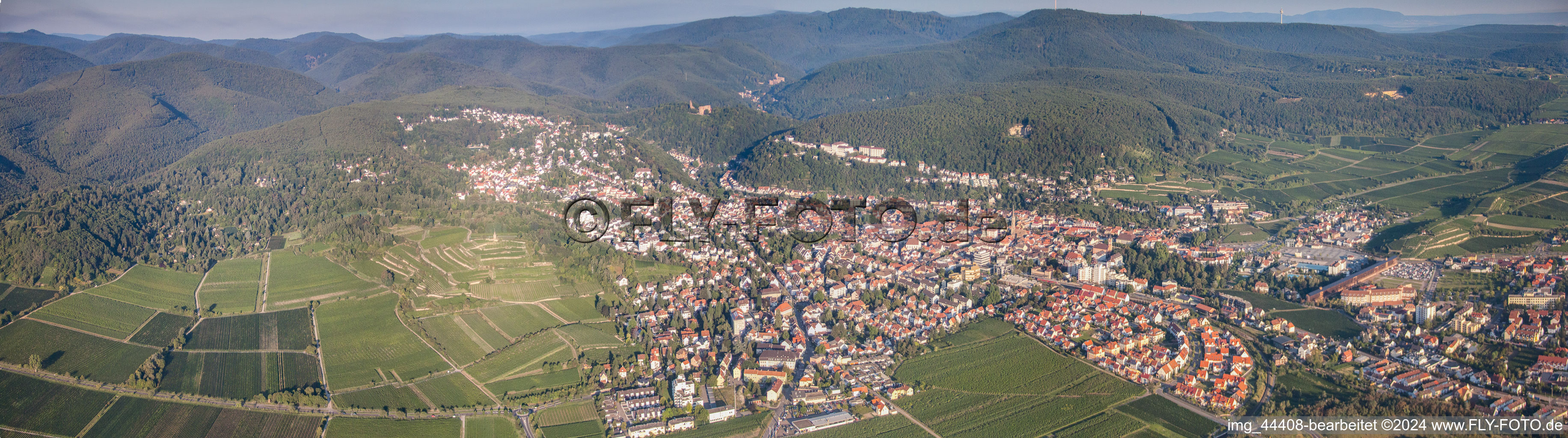 Vue aérienne de Panorama de la région et des environs à le quartier Seebach in Bad Dürkheim dans le département Rhénanie-Palatinat, Allemagne