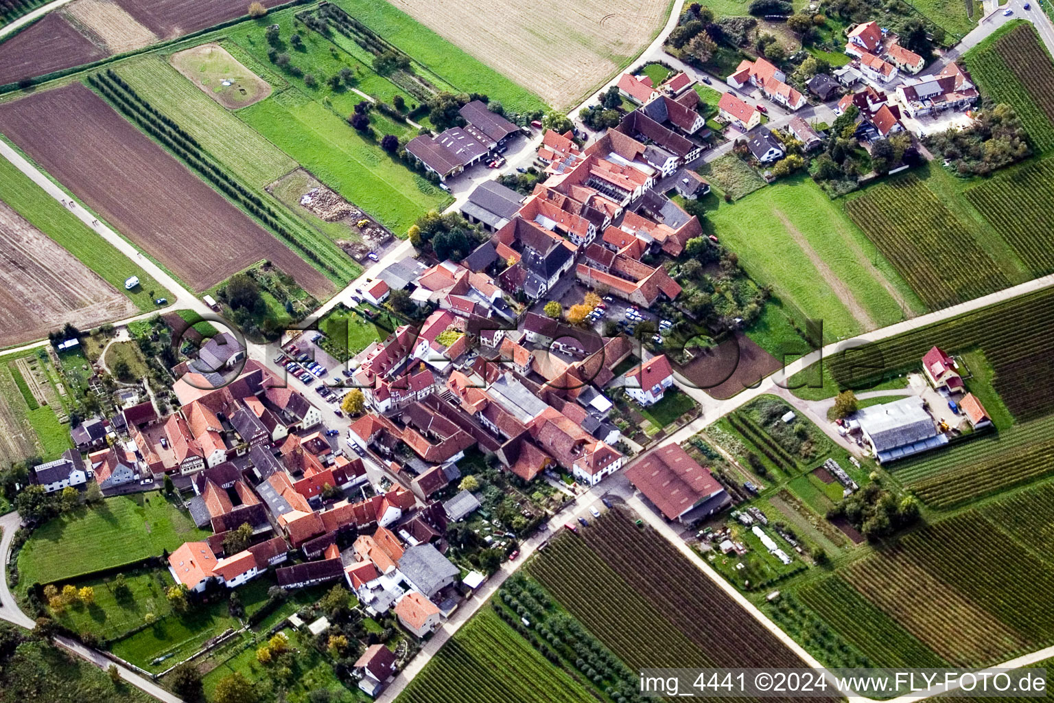 Quartier Oberhofen in Pleisweiler-Oberhofen dans le département Rhénanie-Palatinat, Allemagne du point de vue du drone