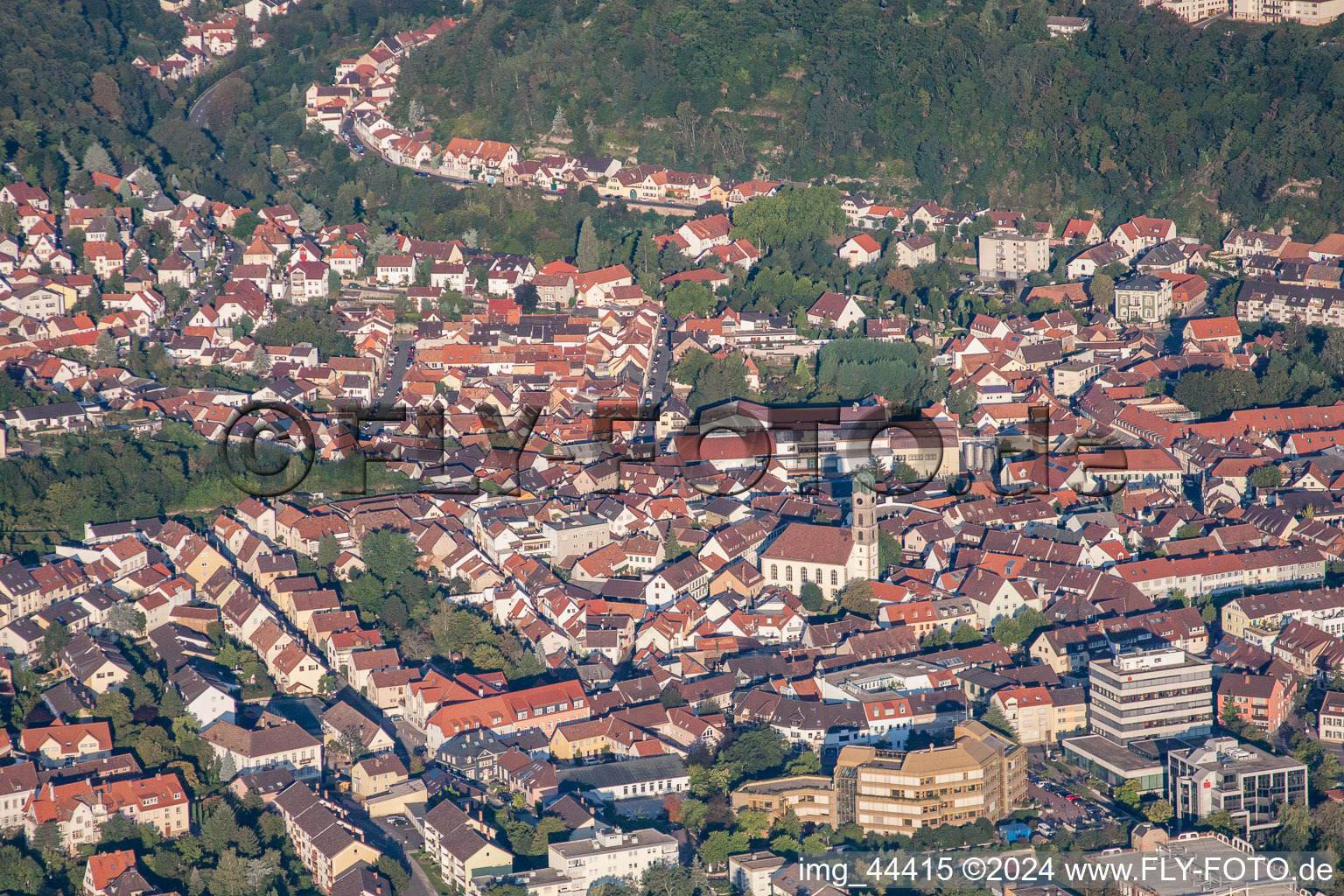 Vue aérienne de Église du château à Bad Dürkheim dans le département Rhénanie-Palatinat, Allemagne