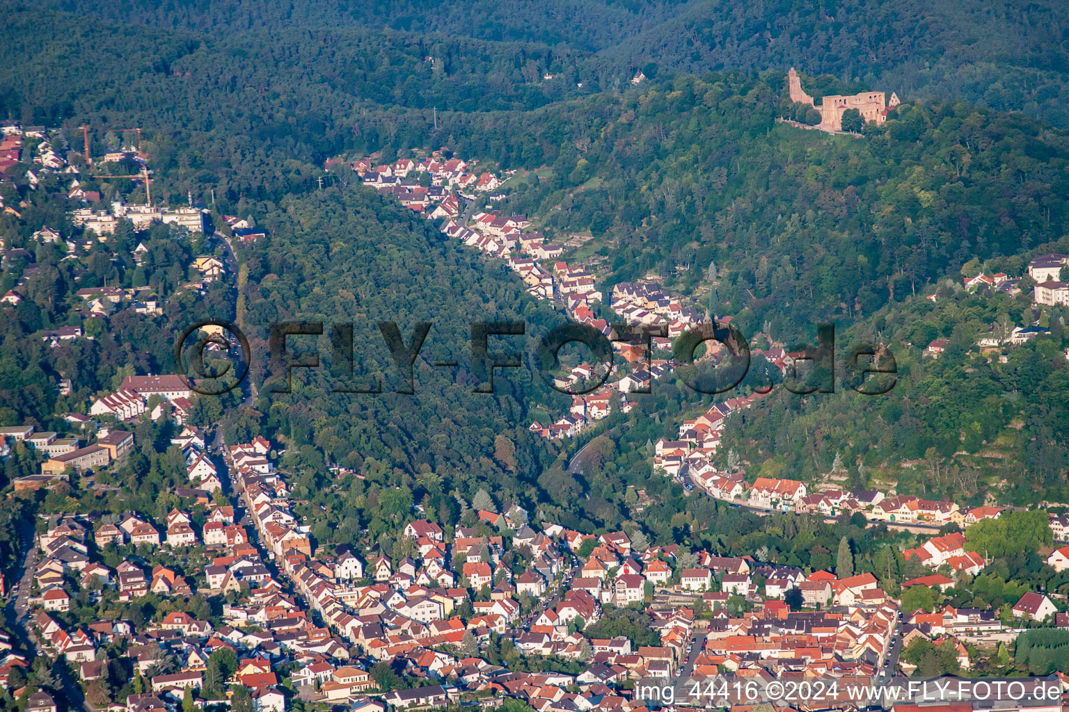 Vue aérienne de Sur le Limbourgberg à le quartier Grethen in Bad Dürkheim dans le département Rhénanie-Palatinat, Allemagne