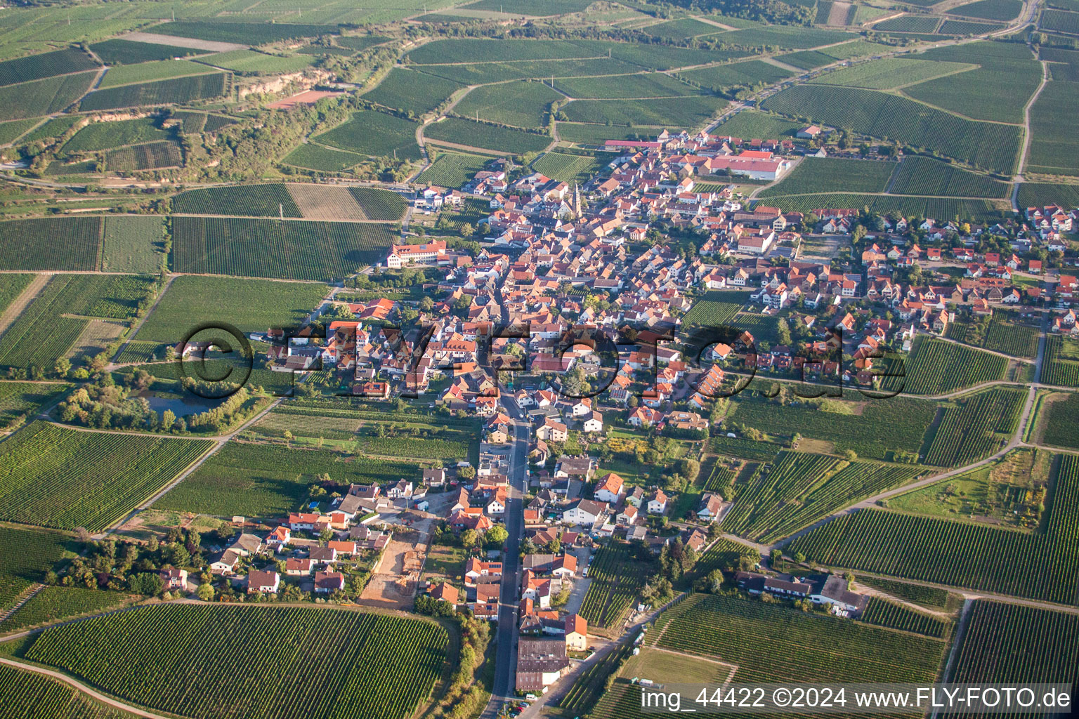 Vue aérienne de Champs agricoles et surfaces utilisables à Kallstadt dans le département Rhénanie-Palatinat, Allemagne