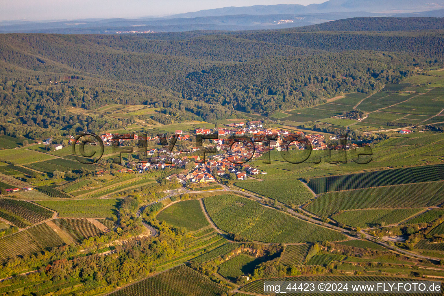 Vue aérienne de De l'ouest à le quartier Leistadt in Bad Dürkheim dans le département Rhénanie-Palatinat, Allemagne