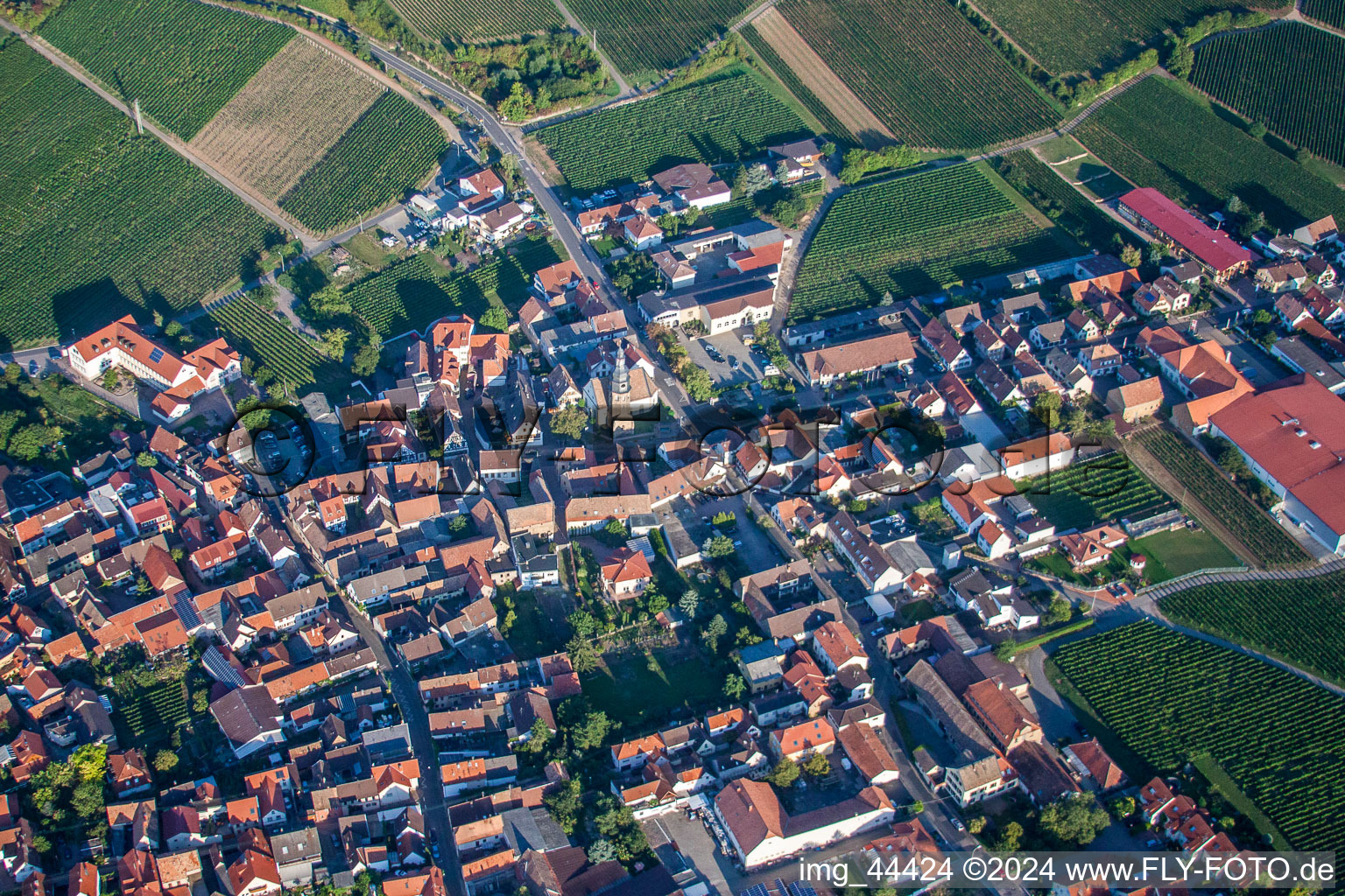 Vue aérienne de Champs agricoles et surfaces utilisables à Kallstadt dans le département Rhénanie-Palatinat, Allemagne