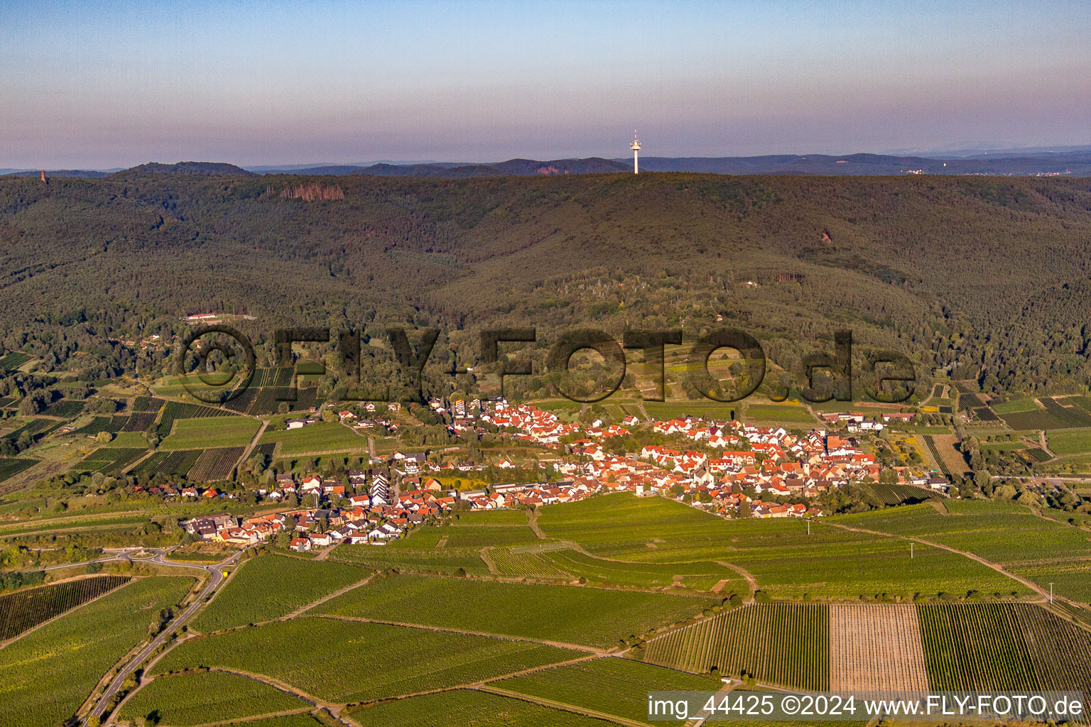 Vue aérienne de Vue sur le village à le quartier Leistadt in Bad Dürkheim dans le département Rhénanie-Palatinat, Allemagne