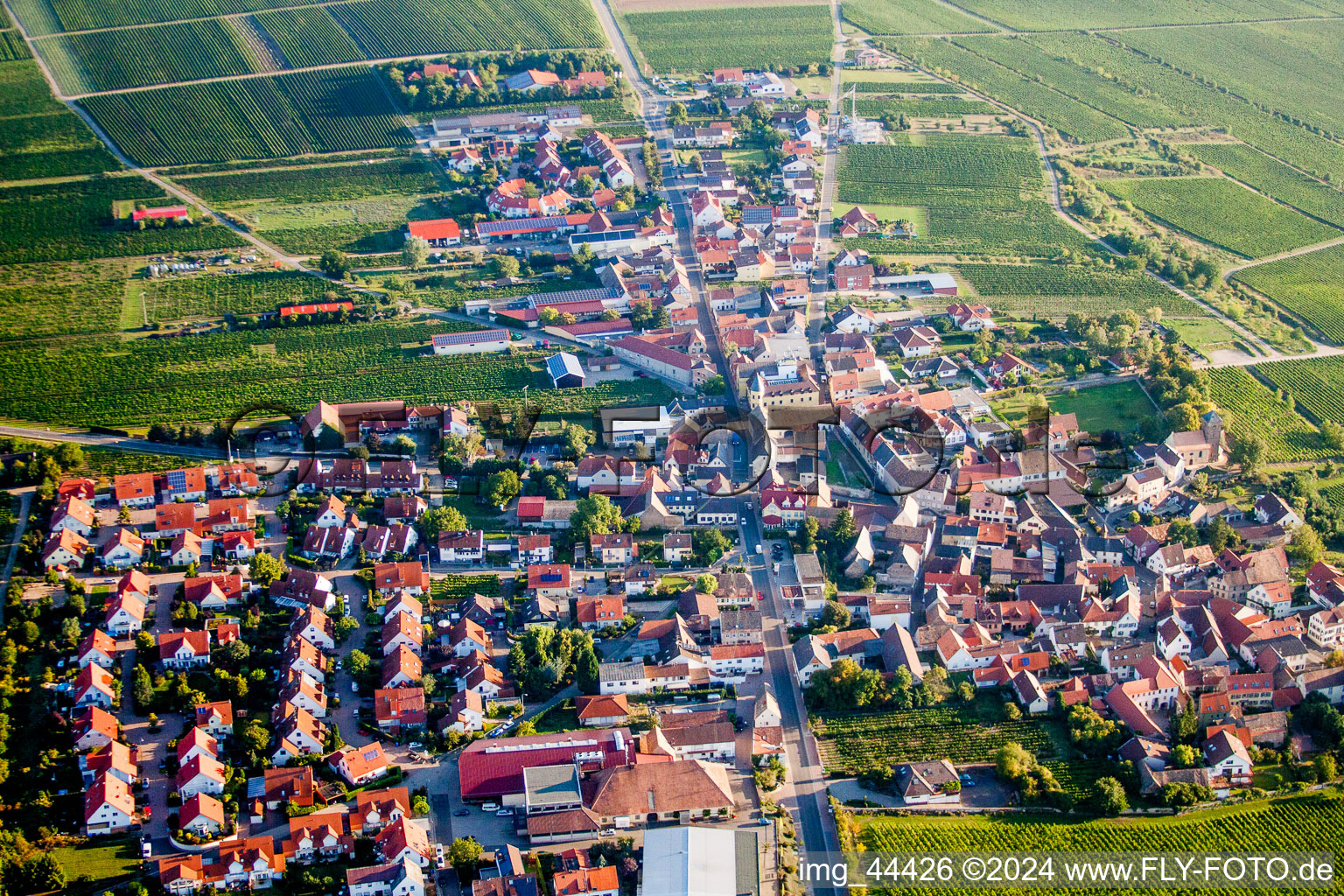 Vue aérienne de Vignobles à le quartier Herxheim in Herxheim am Berg dans le département Rhénanie-Palatinat, Allemagne