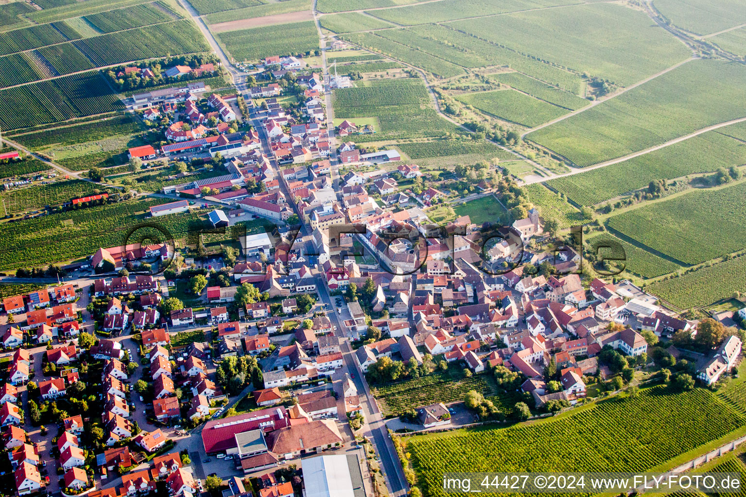 Vue aérienne de Vignobles à le quartier Herxheim in Herxheim am Berg dans le département Rhénanie-Palatinat, Allemagne