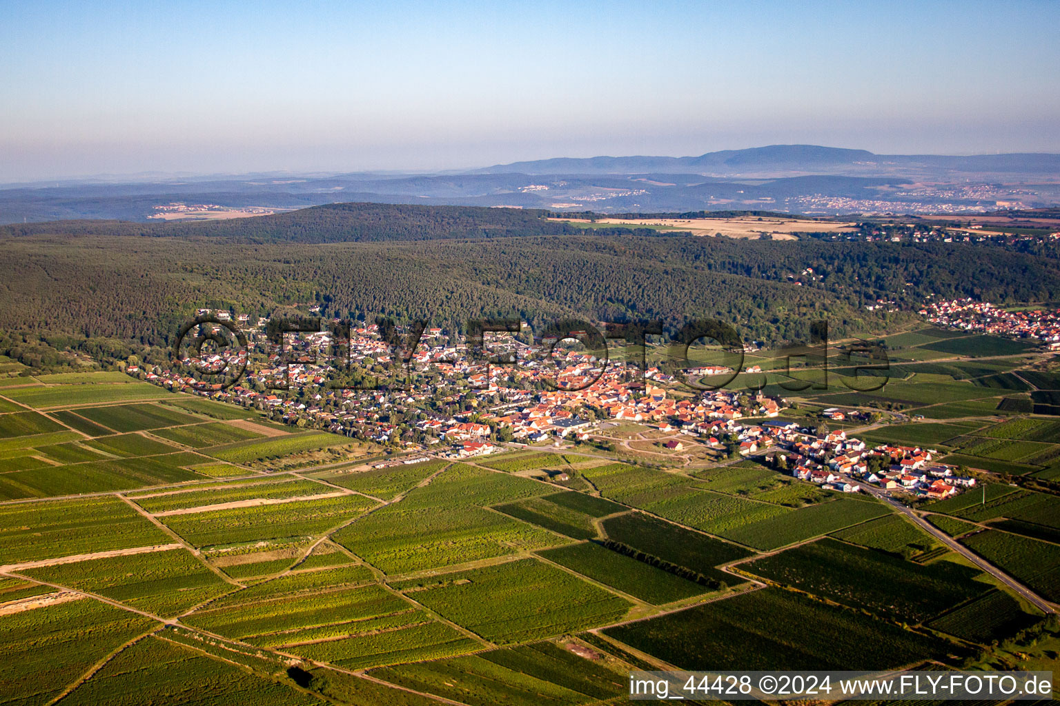 Vue aérienne de Vignobles sur le Haardtrand à Weisenheim am Berg dans le département Rhénanie-Palatinat, Allemagne