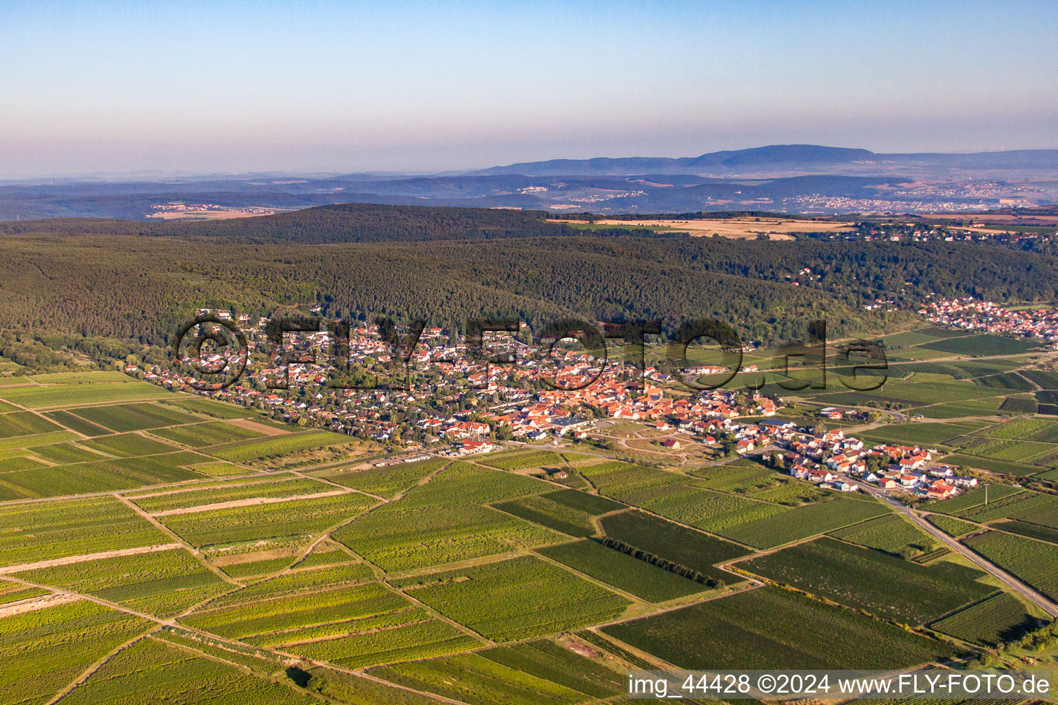 Vue aérienne de Vignobles sur le Haardtrand à Weisenheim am Berg dans le département Rhénanie-Palatinat, Allemagne