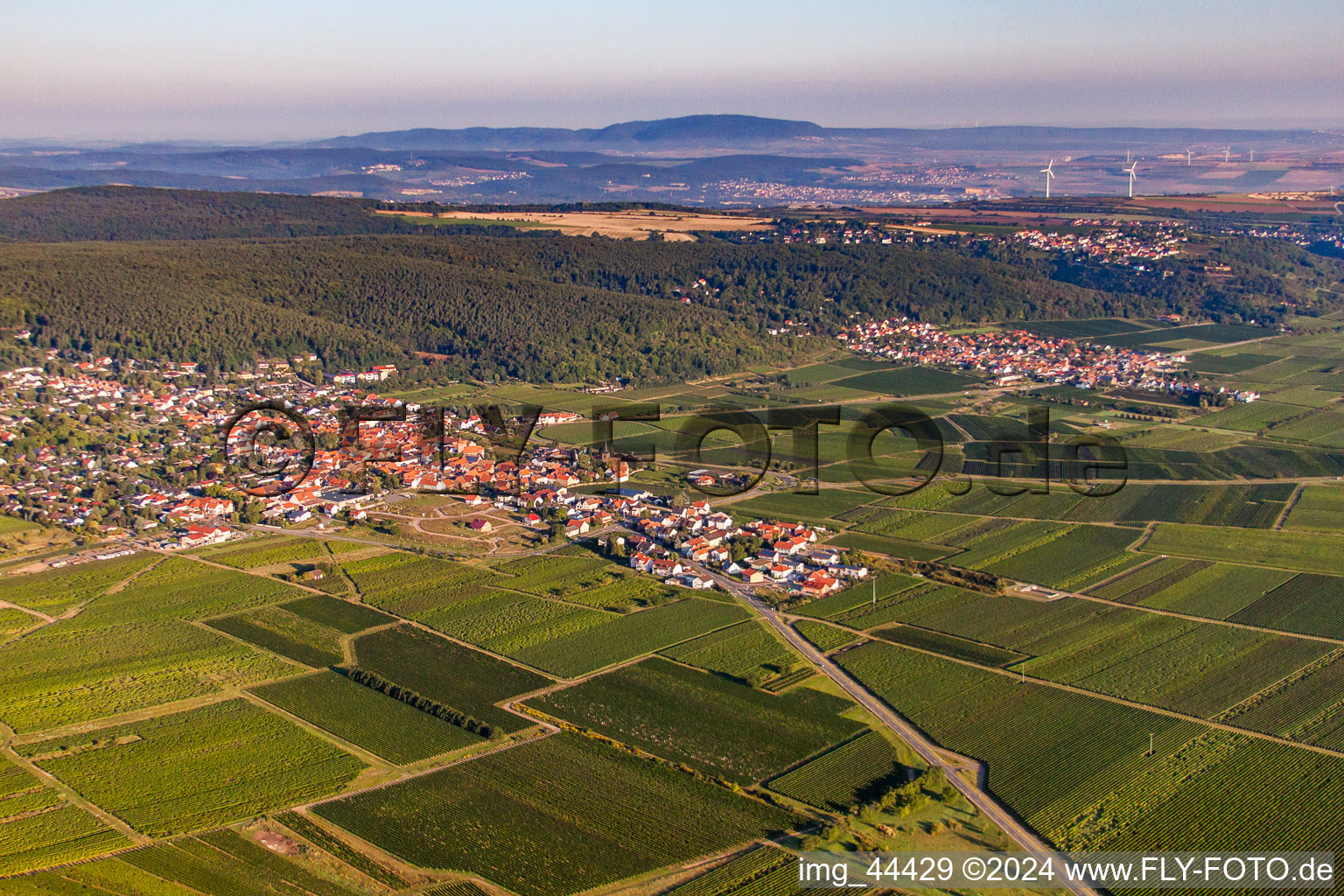 Photographie aérienne de Vignobles sur le Haardtrand à Weisenheim am Berg dans le département Rhénanie-Palatinat, Allemagne