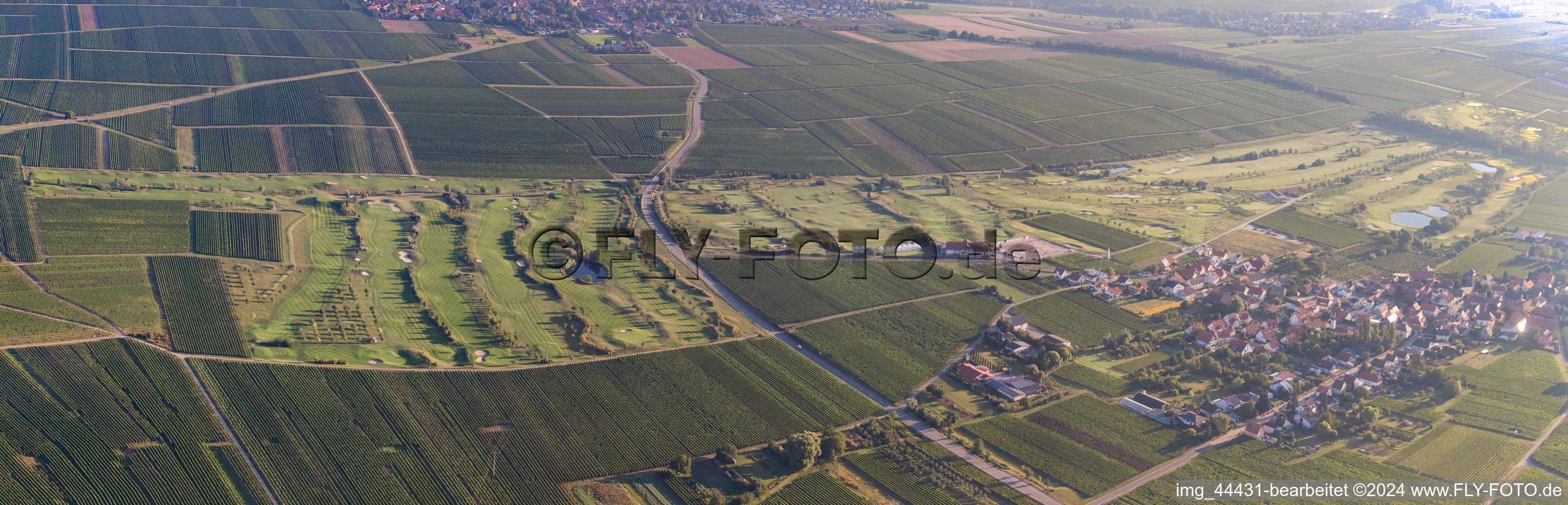 Vue aérienne de Panorama du parcours de golf Golfgarten Route des vins allemande à Dackenheim dans le département Rhénanie-Palatinat, Allemagne