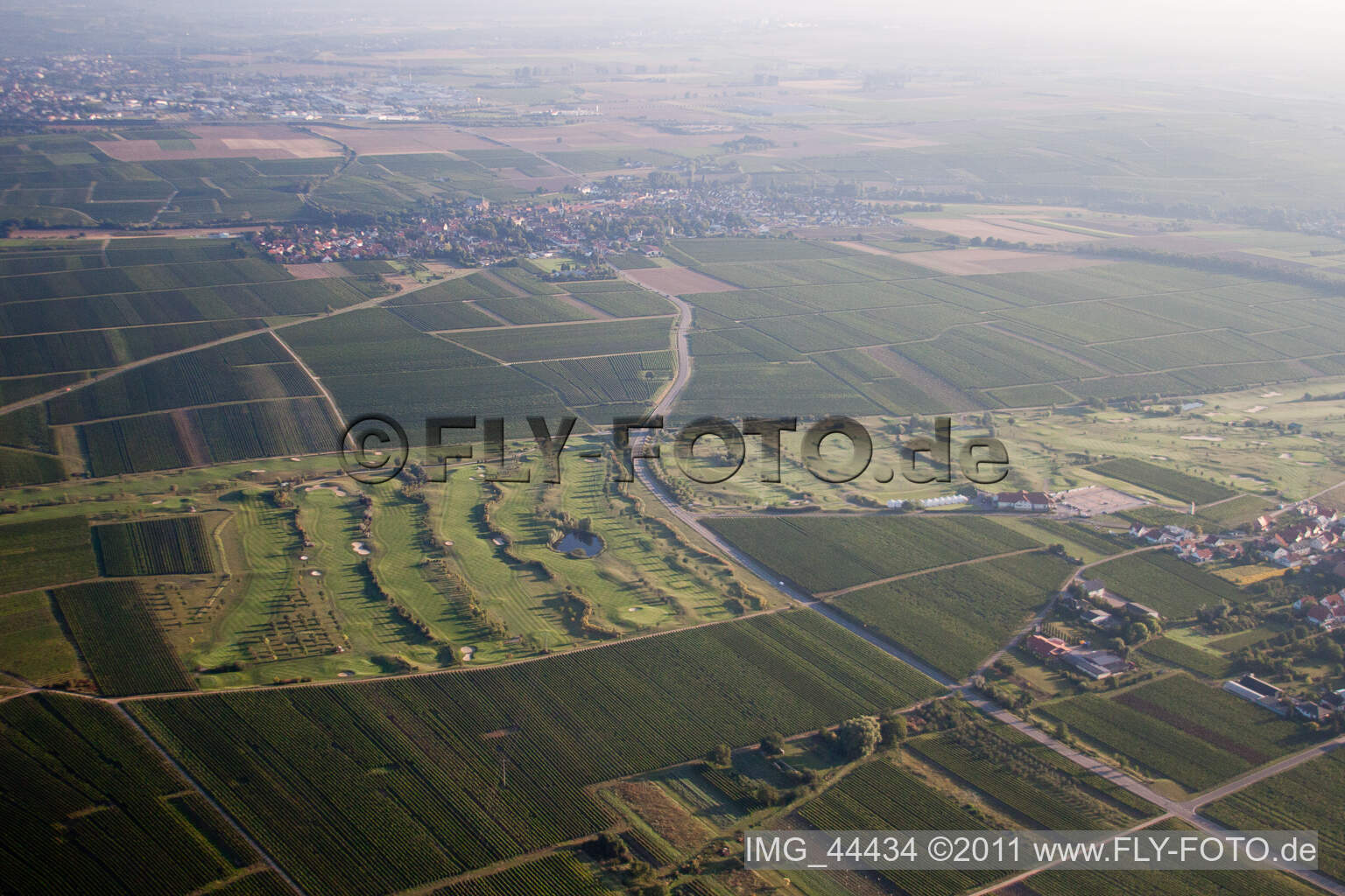 Photographie aérienne de Club de golf de la Route des vins allemande à Dackenheim dans le département Rhénanie-Palatinat, Allemagne
