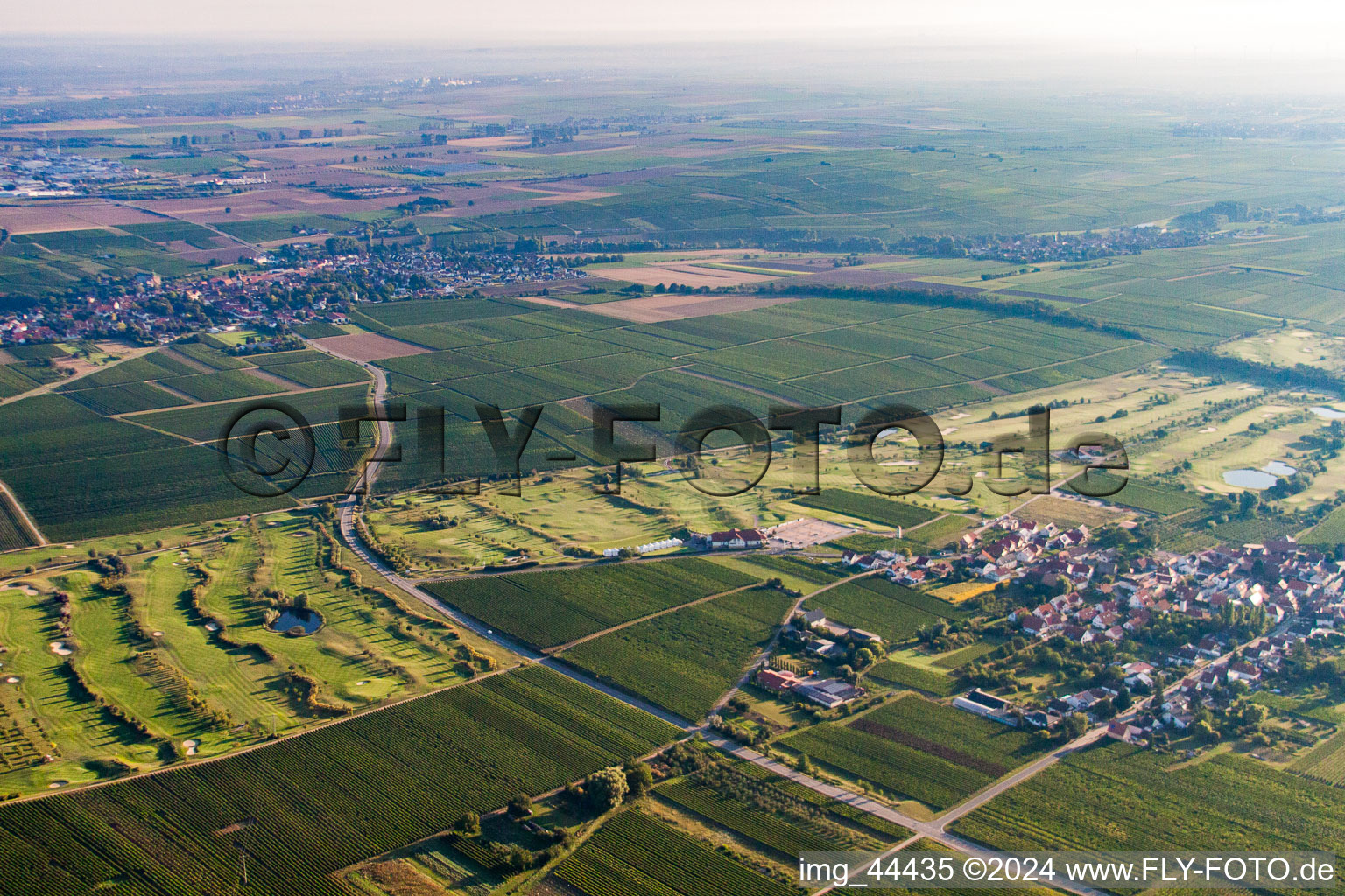 Vue oblique de Club de golf de la Route des vins allemande à Dackenheim dans le département Rhénanie-Palatinat, Allemagne