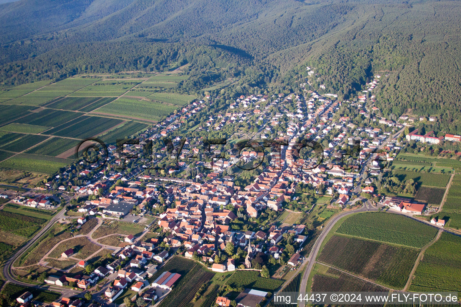 Vue oblique de À Munchberg à le quartier Bobenheim in Bobenheim am Berg dans le département Rhénanie-Palatinat, Allemagne