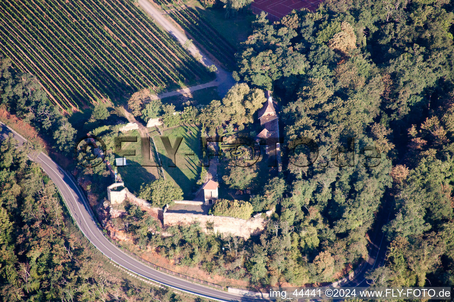 Vue aérienne de Complexe du château de la forteresse Battenberg dans le district de Neuleiningen-Tal (Palatinat) à Battenberg dans le département Rhénanie-Palatinat, Allemagne