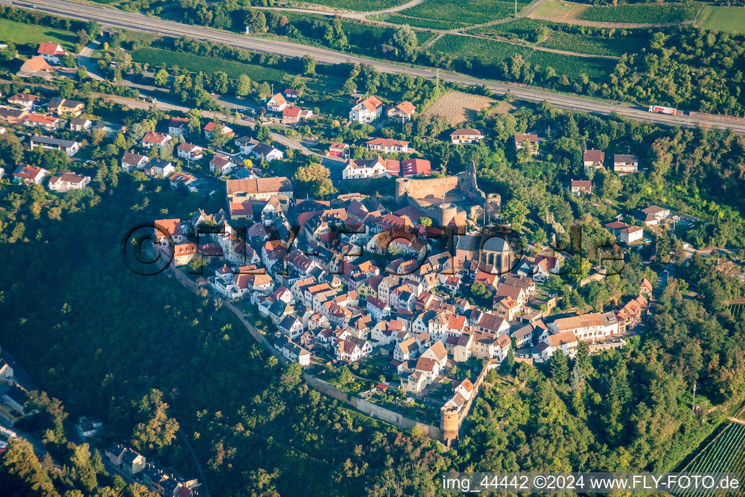 Neuleiningen dans le département Rhénanie-Palatinat, Allemagne vue d'en haut