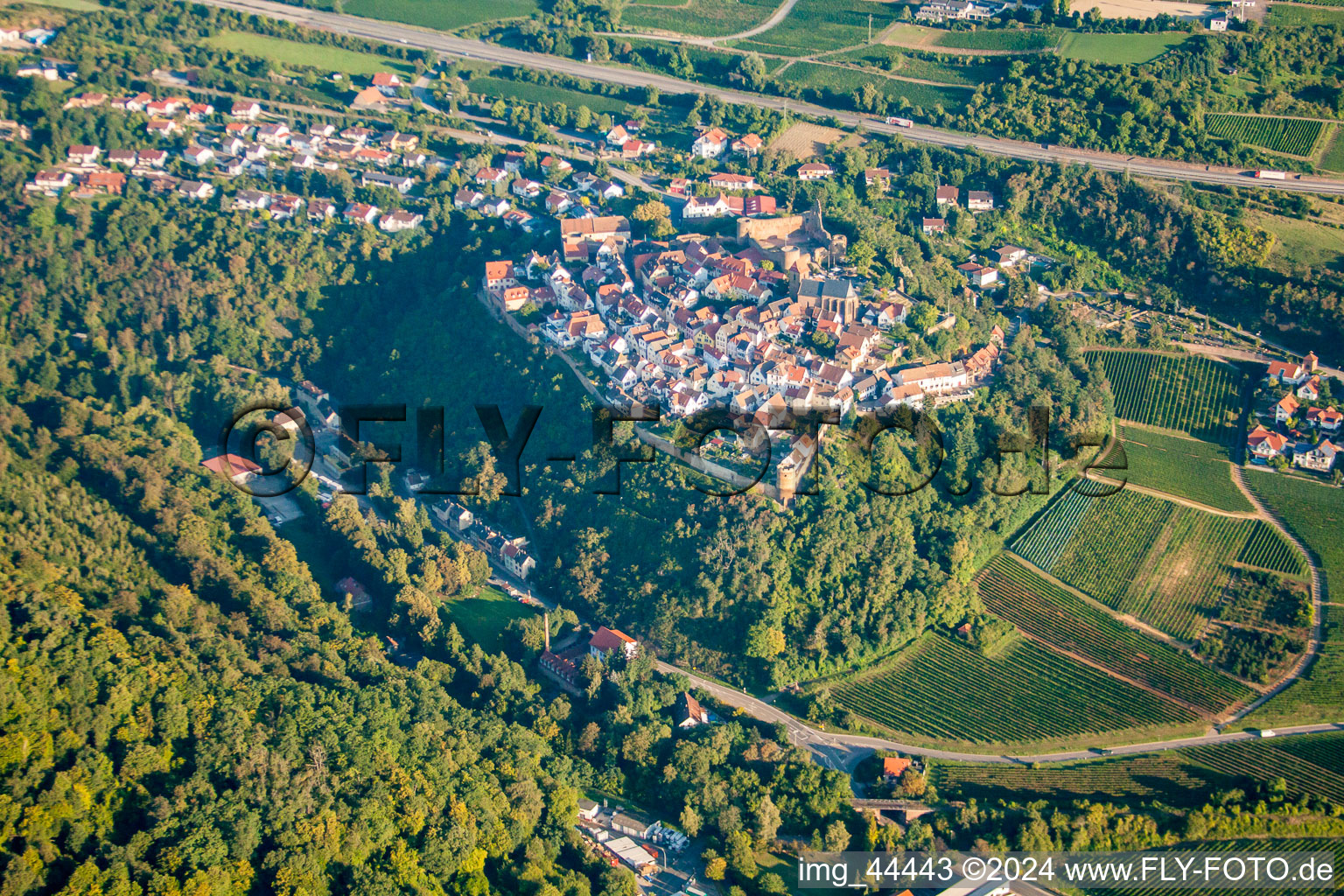 Neuleiningen dans le département Rhénanie-Palatinat, Allemagne depuis l'avion