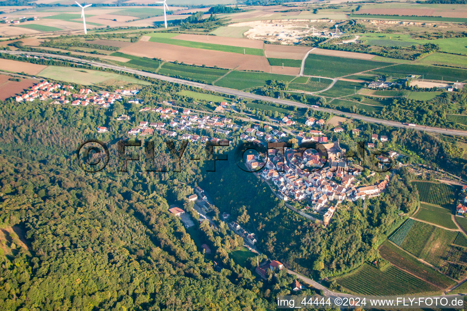 Vue d'oiseau de Neuleiningen dans le département Rhénanie-Palatinat, Allemagne