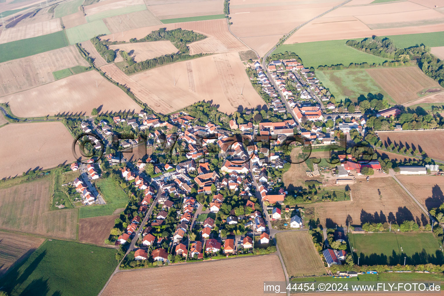 Photographie aérienne de Champs agricoles et surfaces utilisables à Lautersheim dans le département Rhénanie-Palatinat, Allemagne