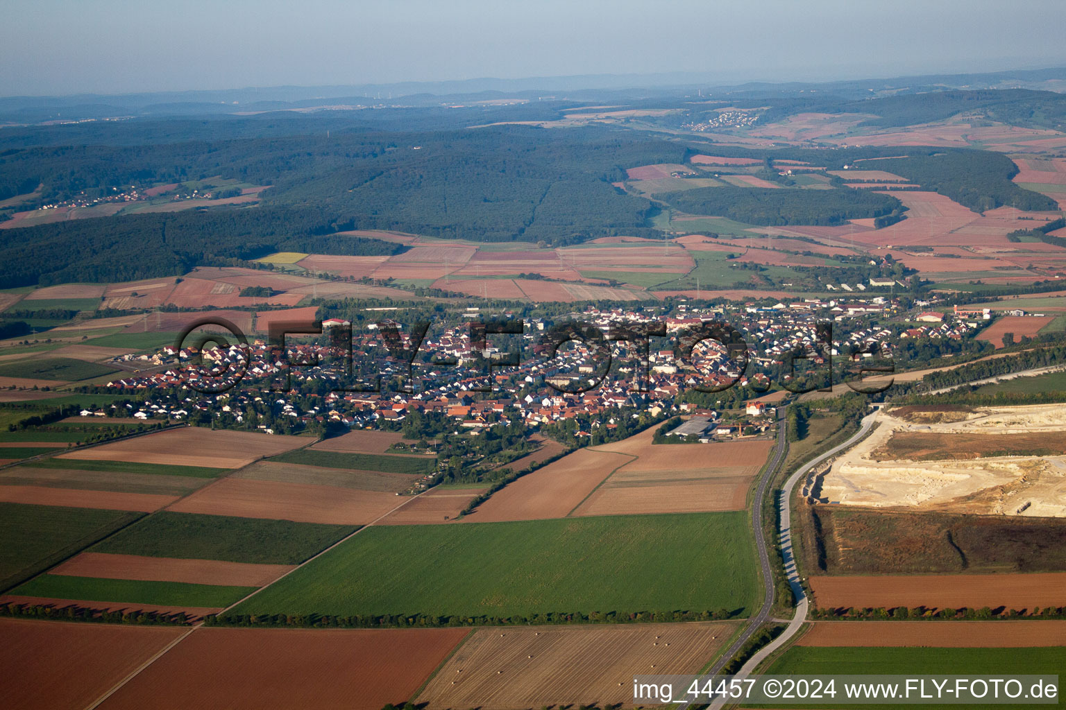 Vue aérienne de Rüssingen dans le département Rhénanie-Palatinat, Allemagne