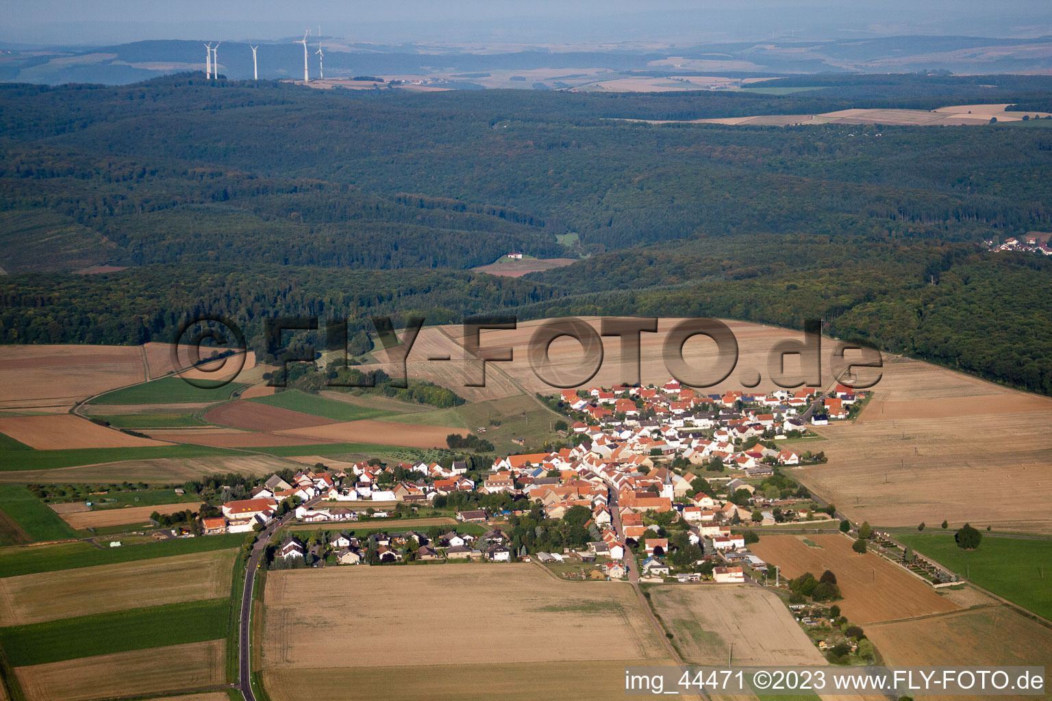 Vue aérienne de Orbis dans le département Rhénanie-Palatinat, Allemagne