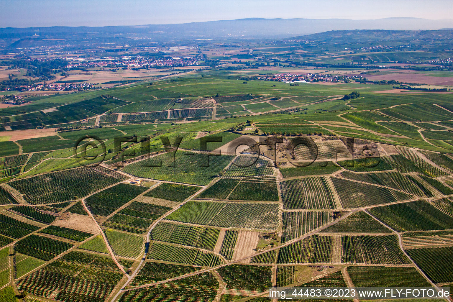 Vue aérienne de Domaine viticole Johanneshof/Korell sur Bosenberg à Pfaffen-Schwabenheim dans le département Rhénanie-Palatinat, Allemagne