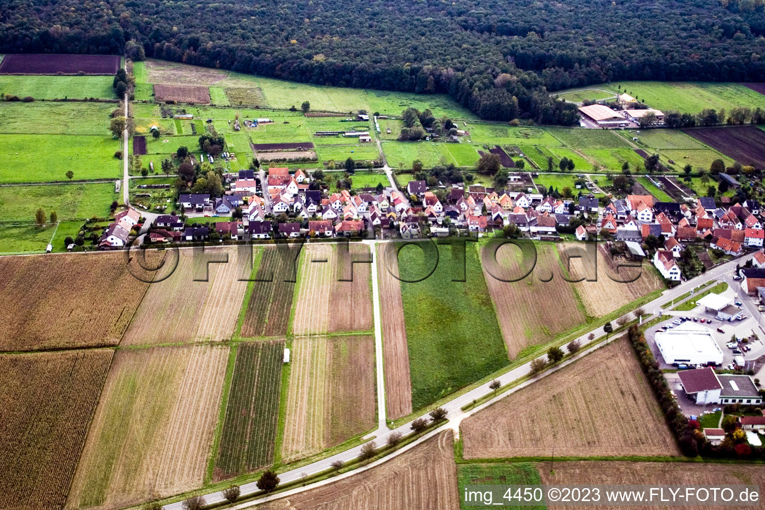 Gänsried à Freckenfeld dans le département Rhénanie-Palatinat, Allemagne hors des airs