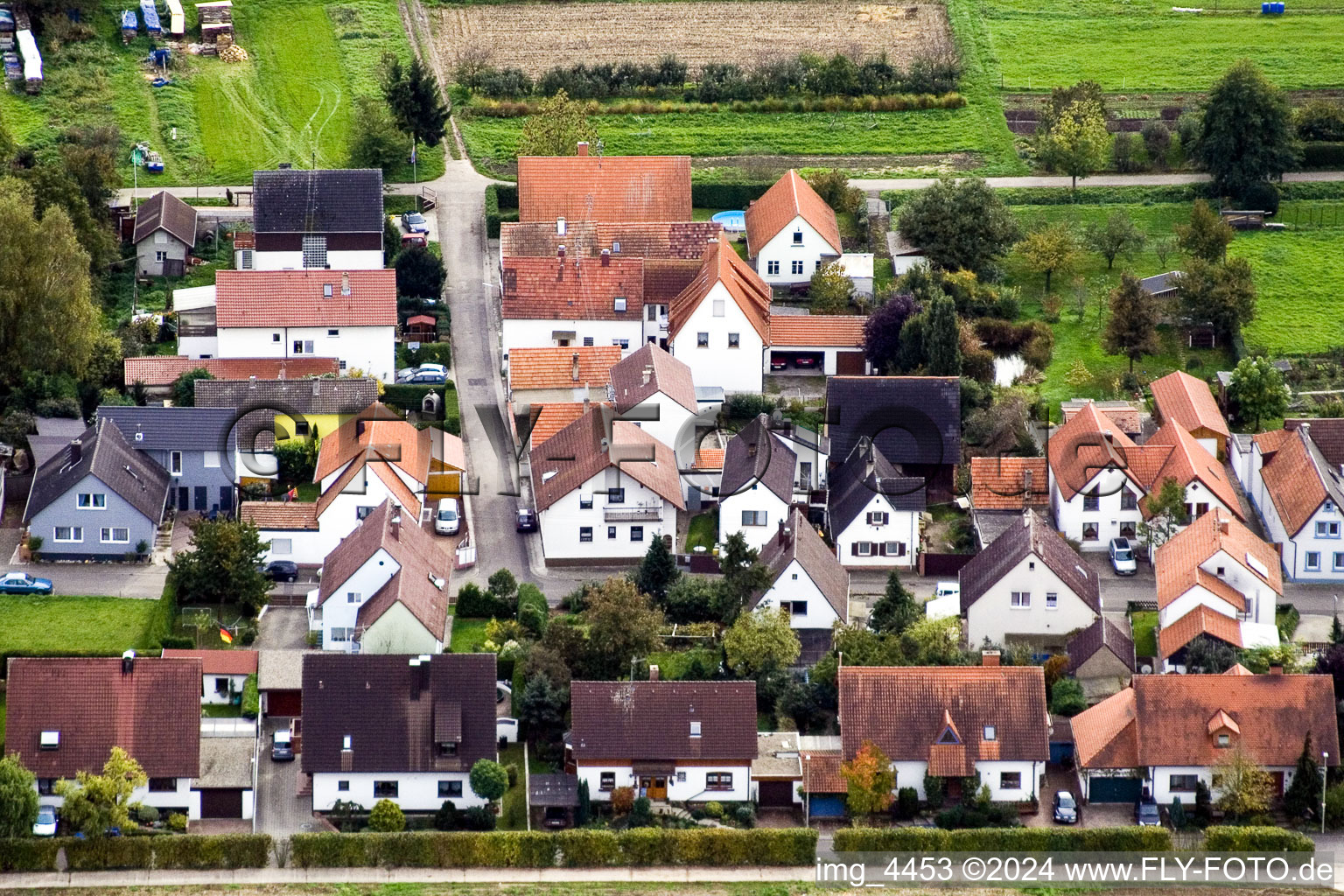 Gänsried à Freckenfeld dans le département Rhénanie-Palatinat, Allemagne depuis l'avion