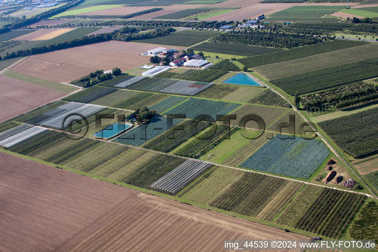 Vue aérienne de Klein Altendorf dans le département Rhénanie du Nord-Westphalie, Allemagne