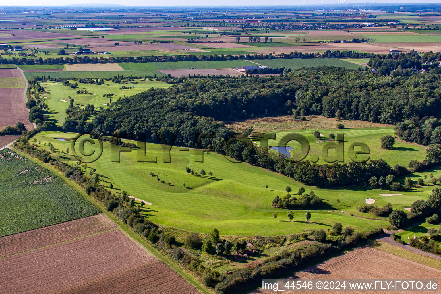 Vue aérienne de Parcours de golf en forêt au château Miel à Miel dans le département Rhénanie du Nord-Westphalie, Allemagne